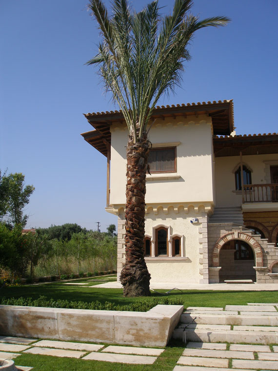 House-with-poolB-b-5
